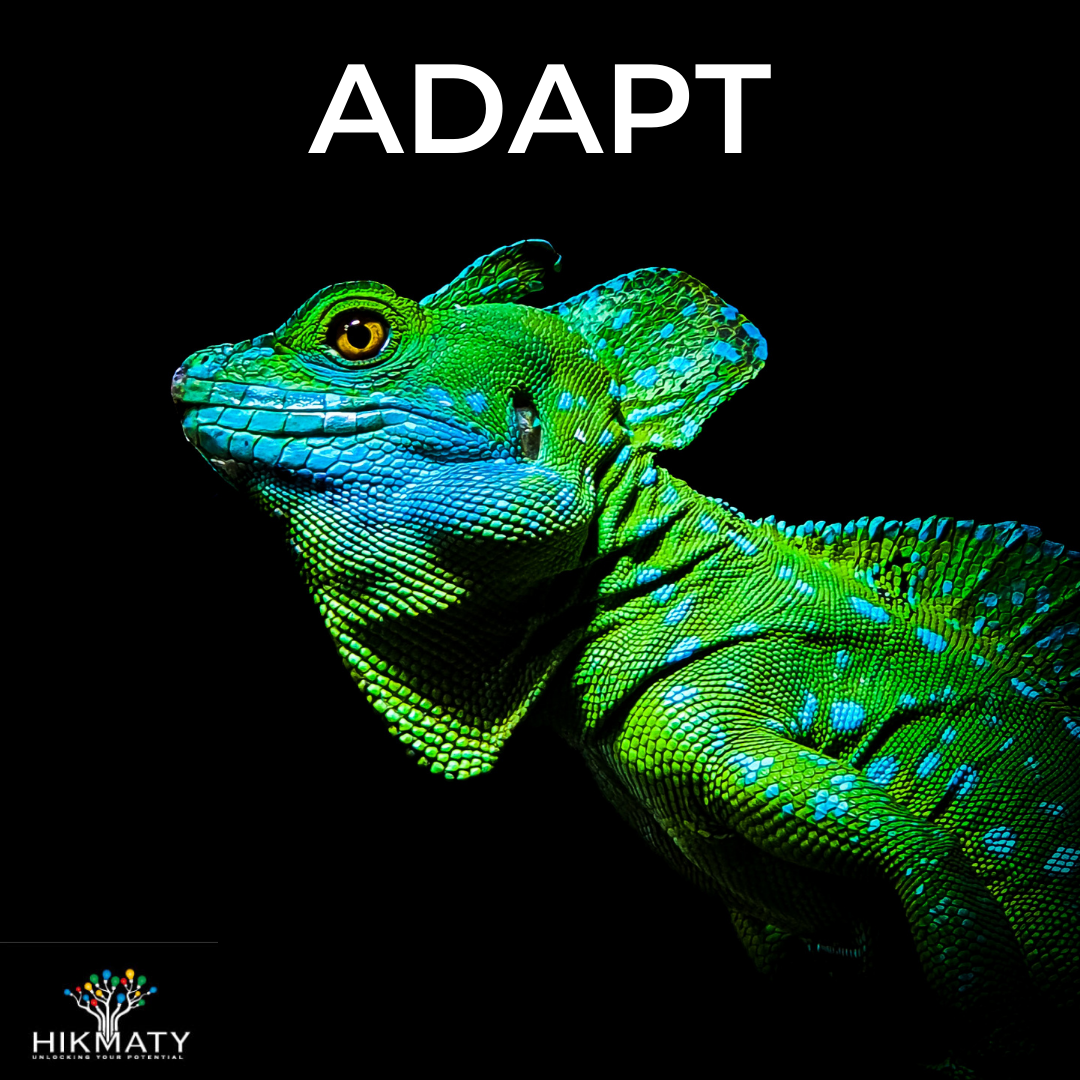 Why is adaptability important?